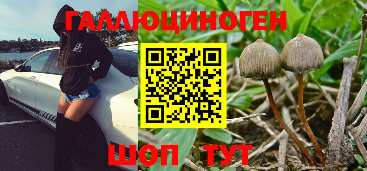 Татарск  Галлюциногенные грибы GOLDEN TEACHER  Псилоцибиновые грибы прущие грибы  Вход с VPN 